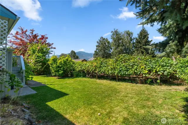 North side yard