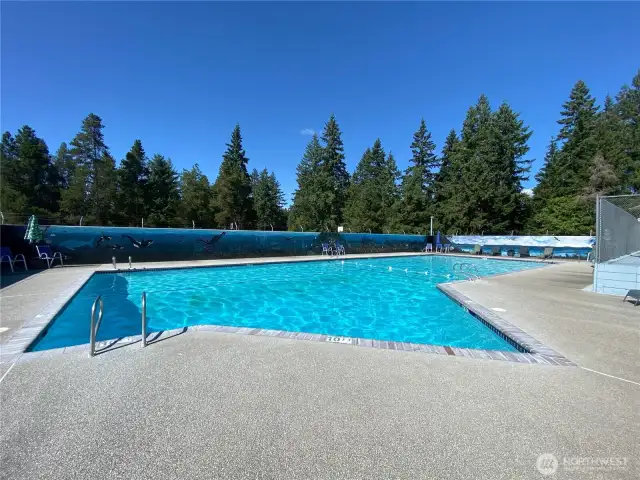 Big Pool
