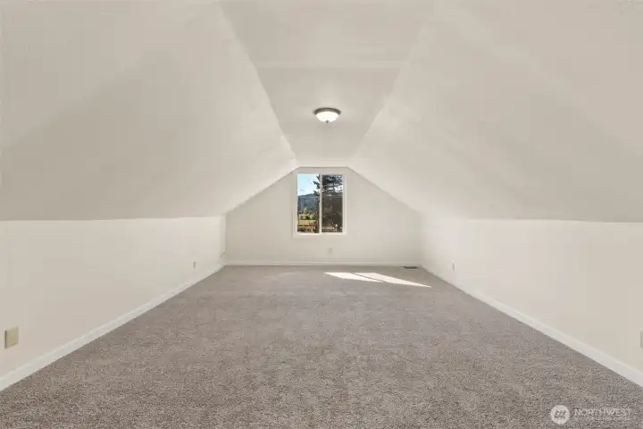 Bonus Space/Bedroom