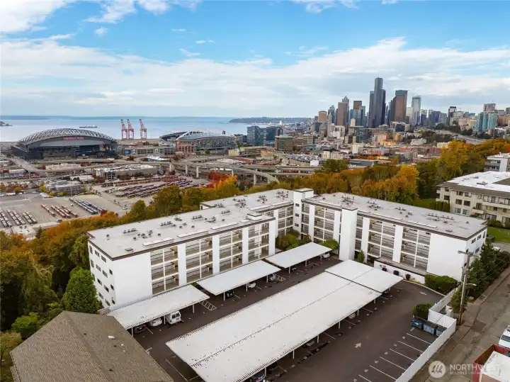 Condo Building looking North