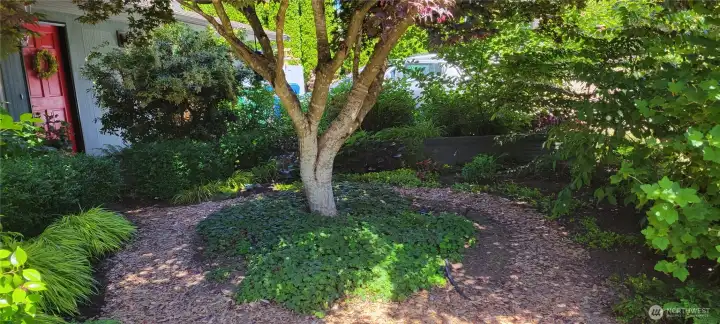 The garden shows off in every season.