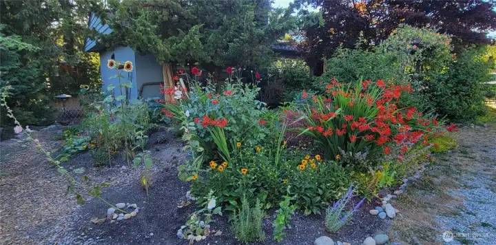 You're so lucky to buy this home in early spring, then watch the garden come alive!