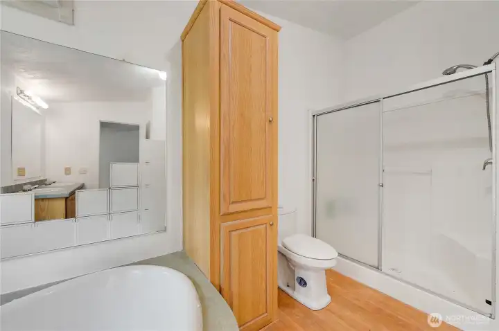 The soaking tub and large shower in the primary bath.