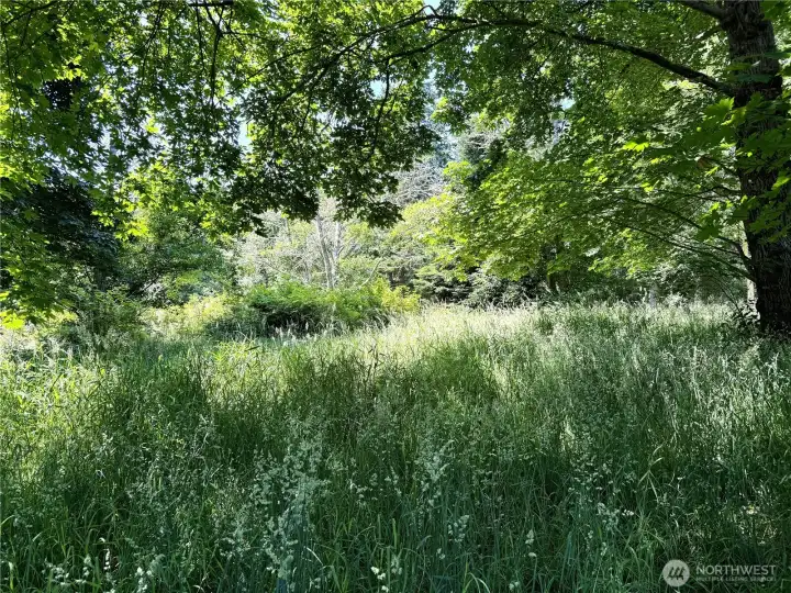 Lot is quite open with at least two lovely building sites