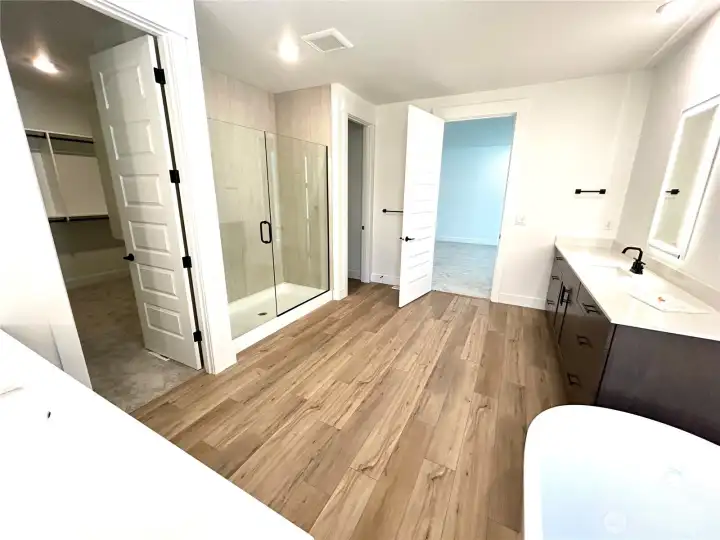 Huge shower and spacious bath