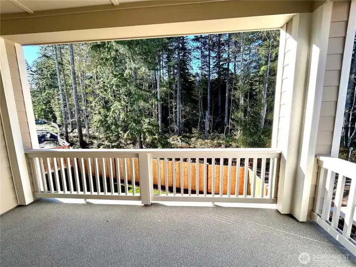 Beautiful forest views