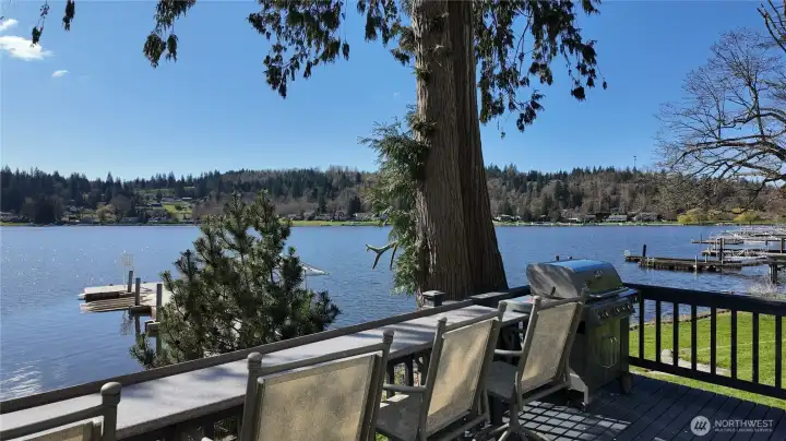 Gazebo deck overlooking the lake.