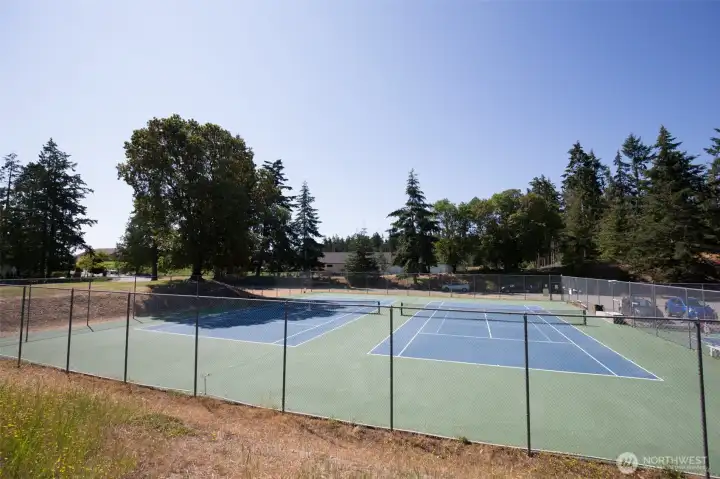 Tennis-Pickle ball courts