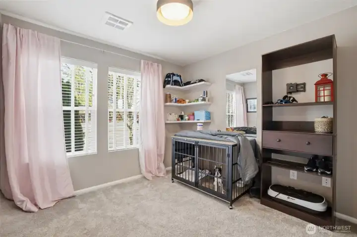Lower Level Bedroom #3