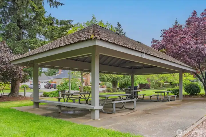 Covered gazebo in 5 acre park Covered gazebo in 5 acre park