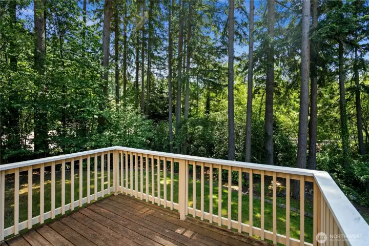 Step outside and relax! Seamlessly transitioning from the indoor living spaces, this fantastic deck offers the perfect extension of your home for morning coffee, evening cocktails, and effortless outdoor entertaining.