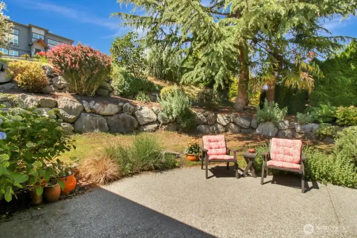 Beautiful Back Yard