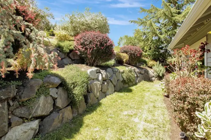 Mature Landscaping