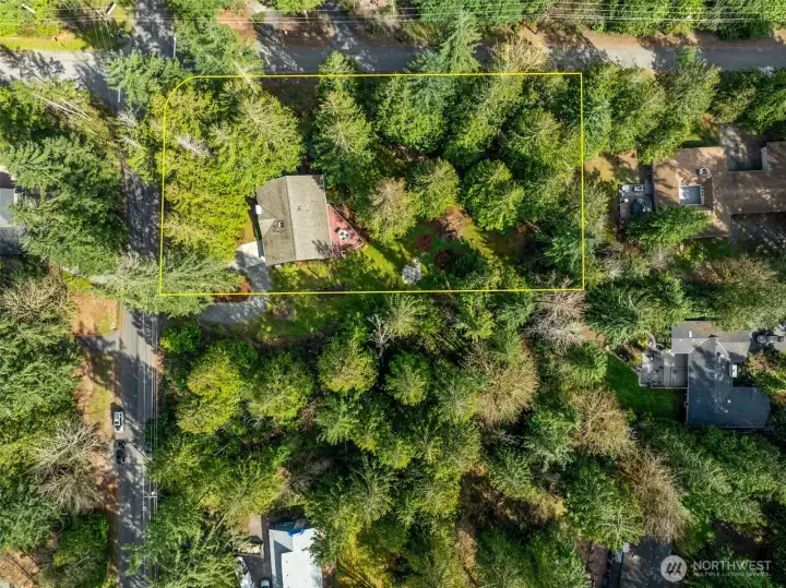 Approximate lot lines shown. This lot is deep and goes quite a ways back, making the back yard seem huge, but also plenty of areas are left native and you could go more in that direction if you wanted less yard to take care of.