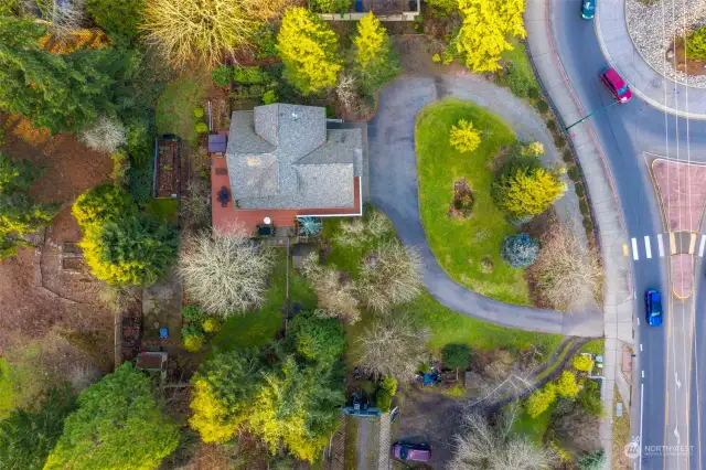 Over a half-acre with raised garden beds and lots of room for gardening, concrete play court with basketball hoop is hidden by the trees.  Fully fenced yard is ideal for pets.