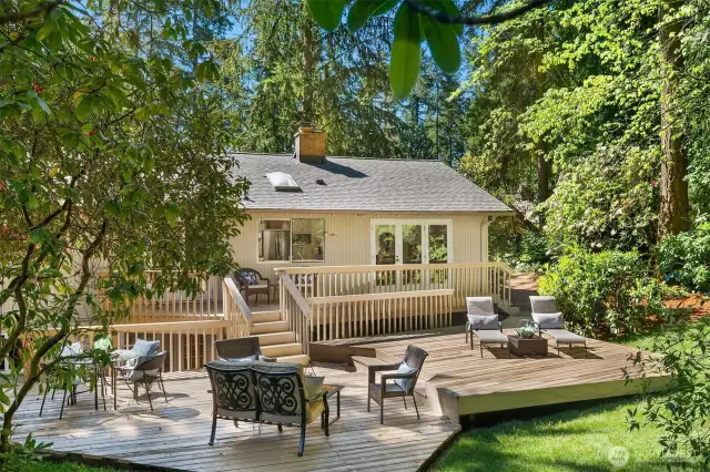 Wonderful and private back yard