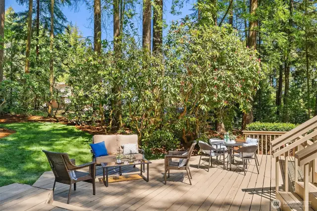 Scenic yard
