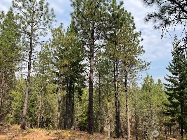 This beautiful homesite backs to the 1200 acre River Conservancy area.  Close to Domerie Park and Paintbrush Lakes.