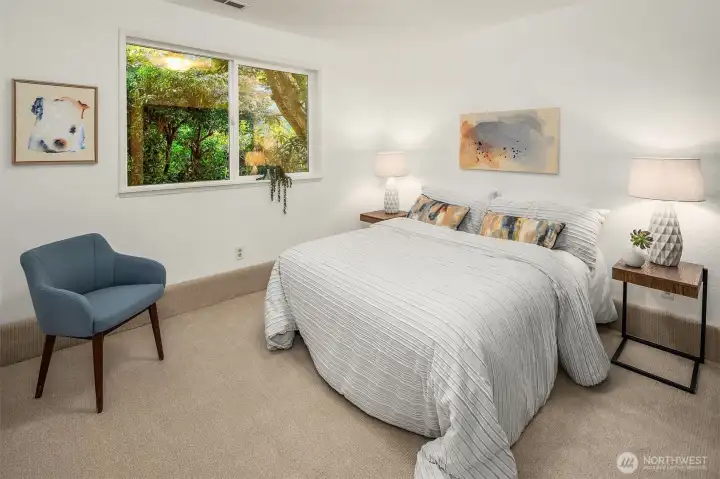 Lower level 4th bedroom.