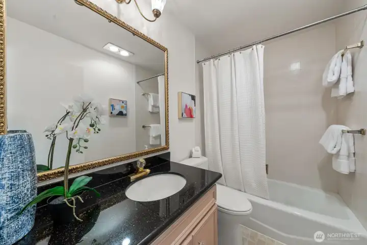 Main full bathroom