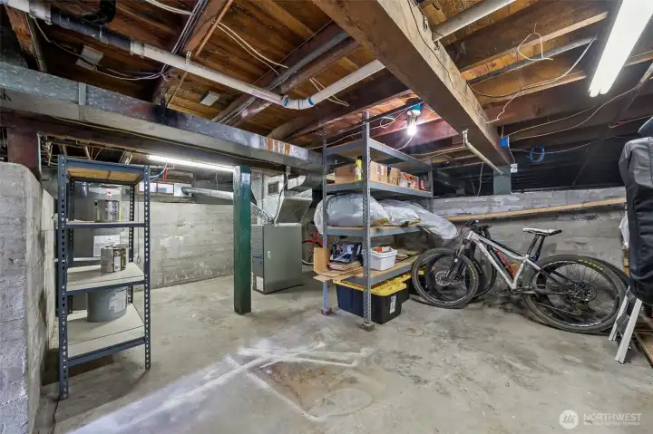 Storage options are endless in this basement area of the home!