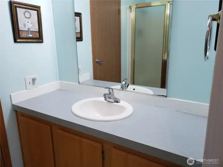 Another Picture of the Nice Size Primary Bath Showing Sink, Huge Counter Top and Shower.