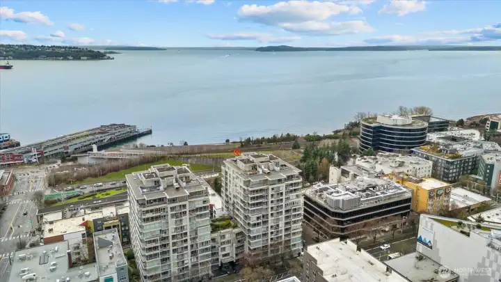 Walk to Sculpture Park