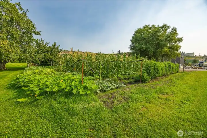 Portion of garden is on this property.