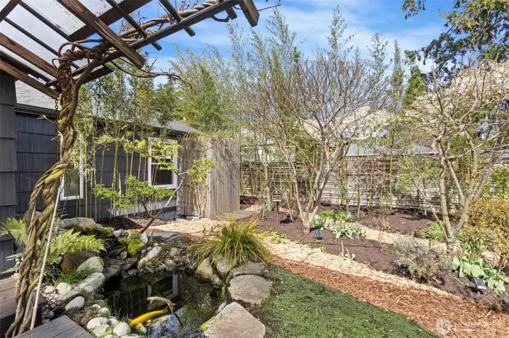 Koi pond and permaculture food forest awaits