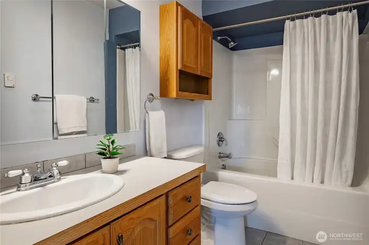 Lower level full bathroom