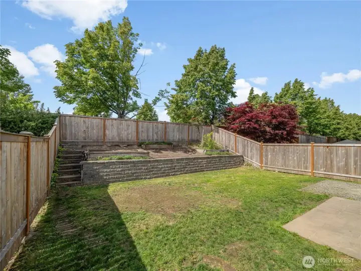 Backyard Backyard