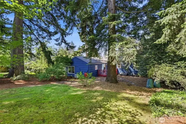 Private backyard with room to relax, play, or host