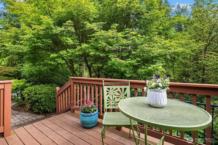 Deck Deck
