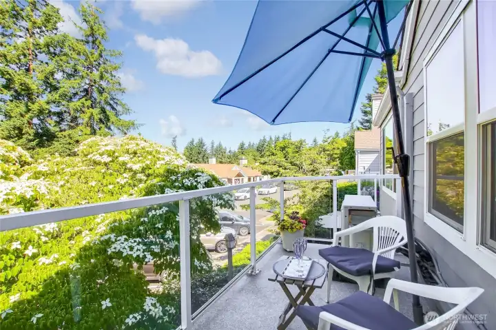 Deck with views of Issaquah Alps, the Town Halle and neighborhood Deck with views of Issaquah Alps, the Town Halle and neighborhood