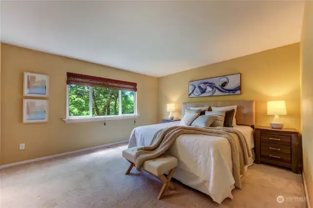 Primary suite is large, and the window overlooks the backyard.