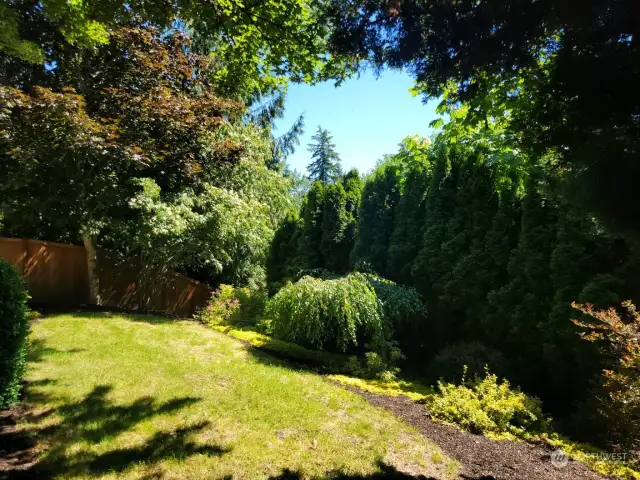 Backyard has grass, gardens and mature landscape.