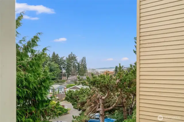 Sound and Mountain views!