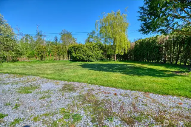 Beautiful yard