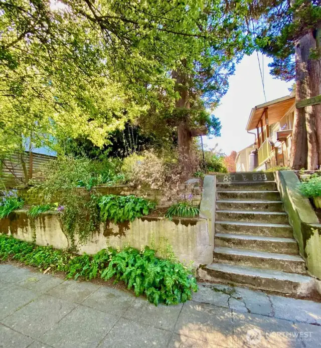 A Rare Ballard Gem with Endless Potential? - Step into Seattle's vibrant Ballard neighborhood with this charming 1908 Craftsman bungalow at 831 NW 52nd St. Nestled on a 2,500 sq ft level lot, this 2-bedroom, 1 bath home exudes timeless character, featuring original period details that echo its rich history. Local owners since 1993, the 780 sq ft residence offers a unique opportunity for restoration, a savvy fix-and-flip or potential redevelopment into townhomes or a custom single-family home With no trees or recorded easements, the parcel provides incredible flexibility for builders, investors, or those seeking a slice of Seattle history. Located just blocks from shops, cafes, and transit, this property is a rare find in one of the city's most sought-after neighborhoods!