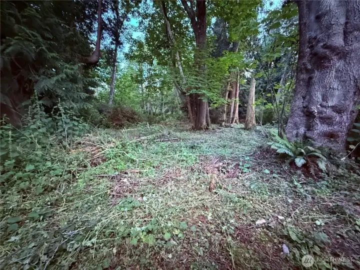 F-52 Saratoga Dr, Buildable level lot with beautiful mature trees, ready for a new home.