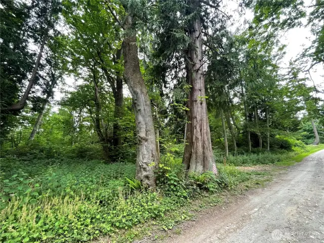 F-52 Saratoga Dr, Buildable level lot with beautiful mature trees, ready for a new home.