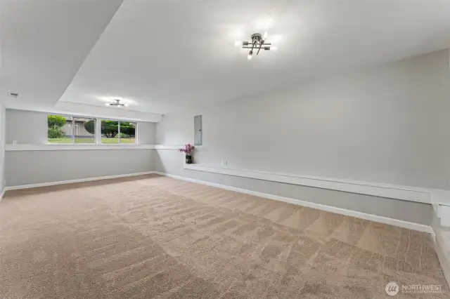 Downstairs family room