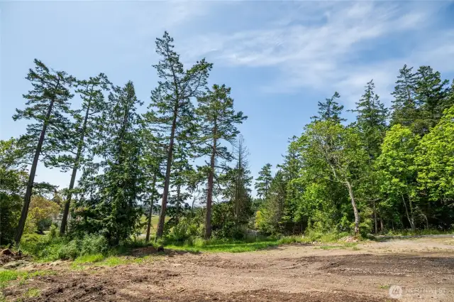 Cleared build site with peekaboo territorial views