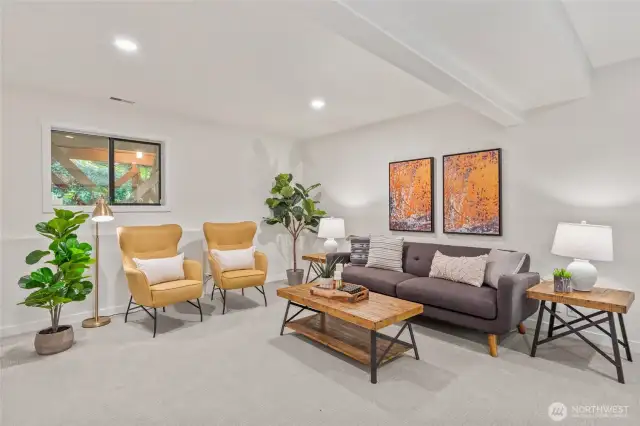 Lower level bonus room with high ceilings and natural light.