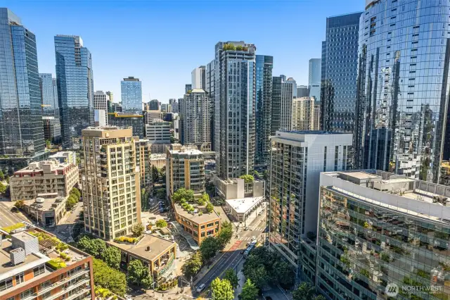 Enso has an Amazing South Lake Union location close to Denny Park, SLU Farmers Market, Lake Union, Space Needled and across from Whole Foods.