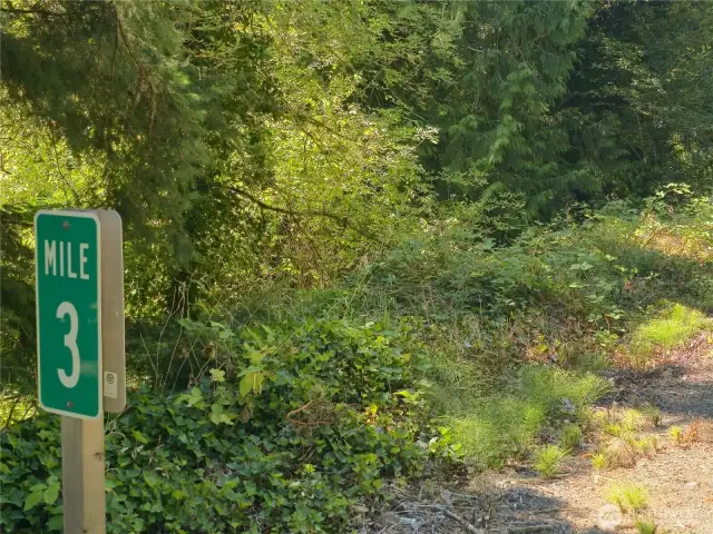 Undeveloped Ohop Lake frontage! Approximate location.