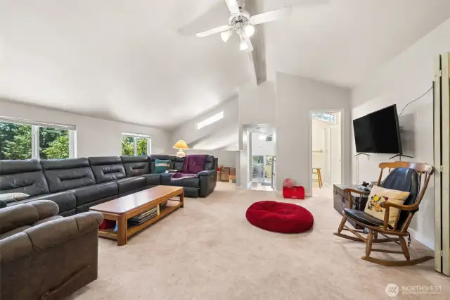 Vaulted Ceilings in Family Room