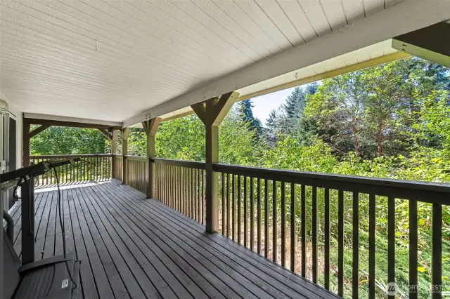 View from Porch