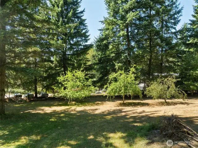Fruit Trees