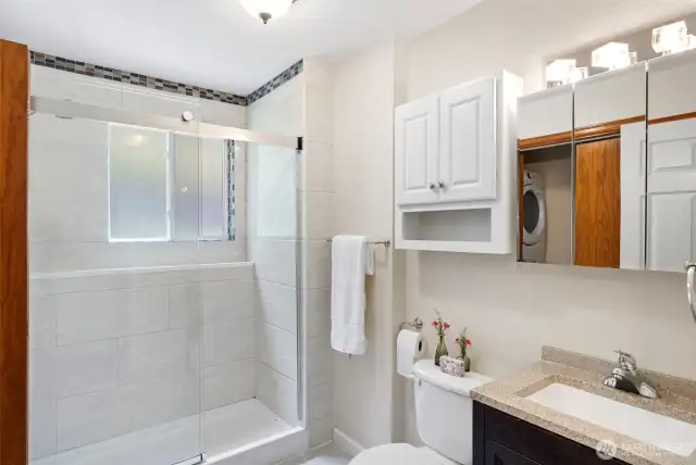 Lower level bathroom